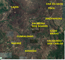 Palmeira